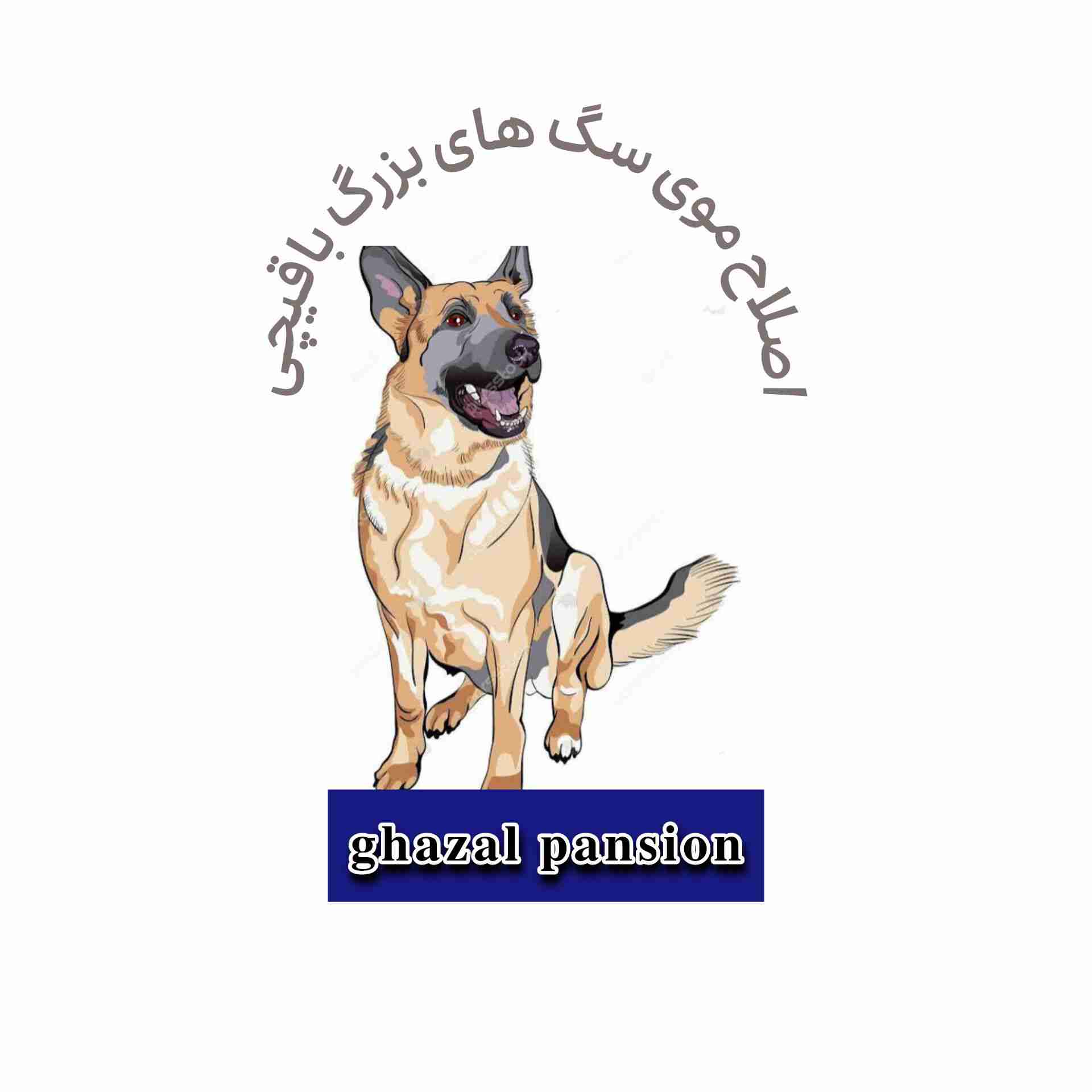 کوتاهی موی سگ بزرگ با قیچی
