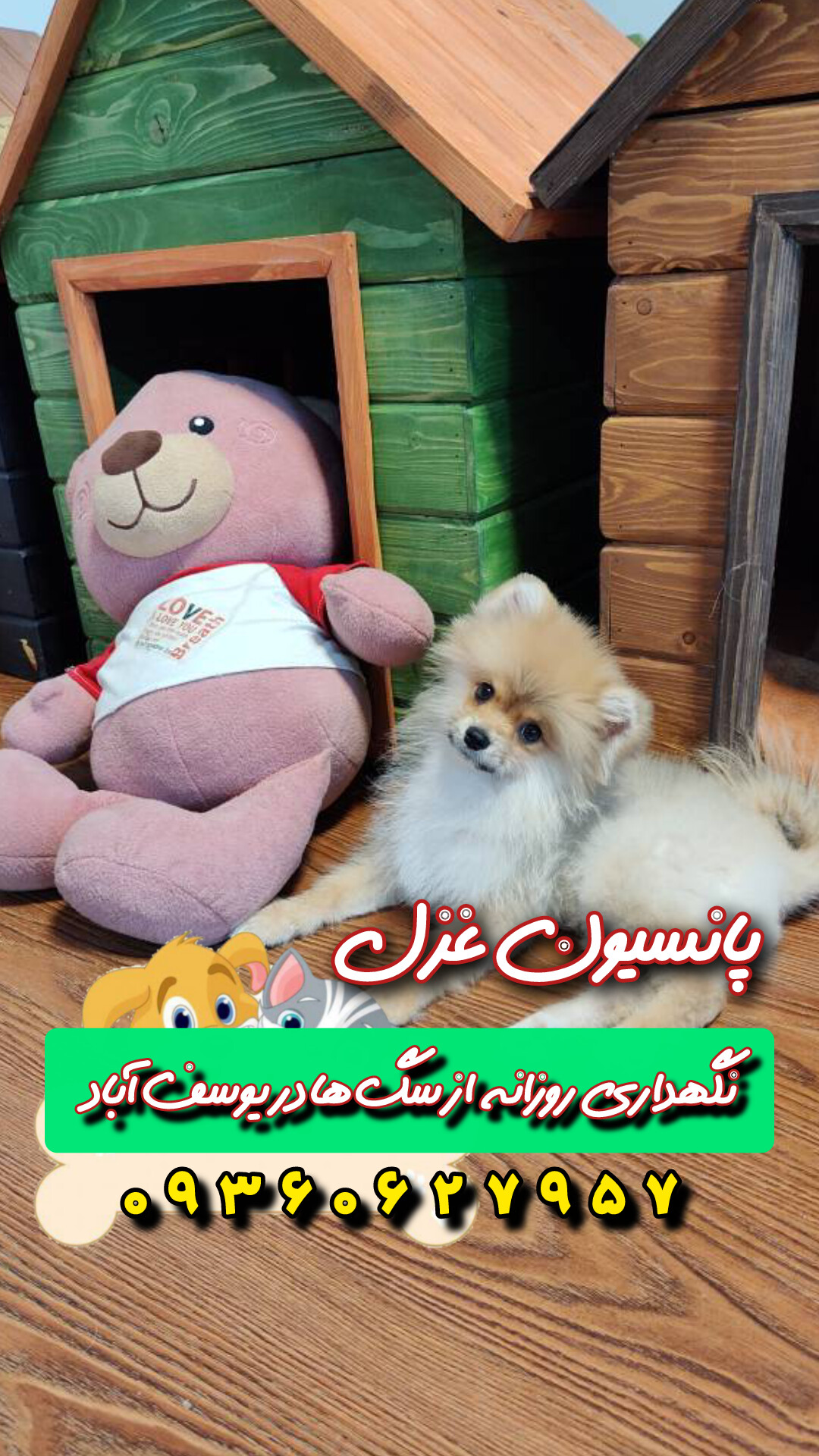 نگهداری از سگ کوچک بدون غذا