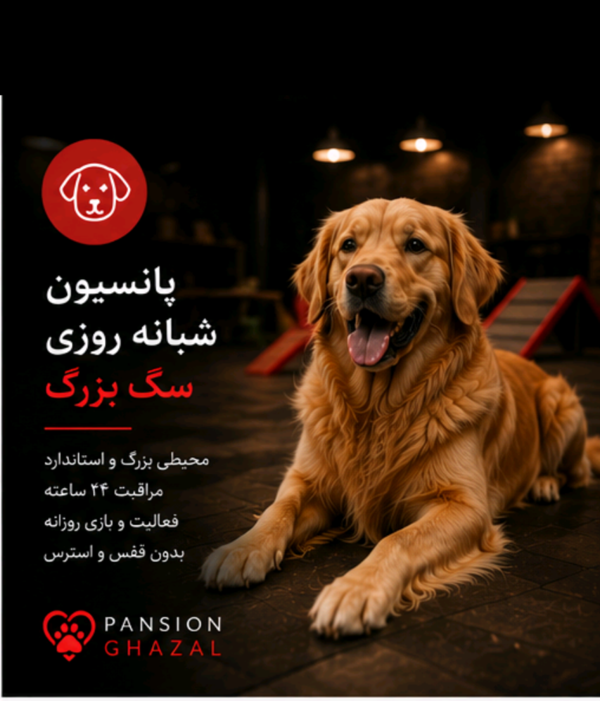 پانسیون شبانه روزی سگ بزرگ
