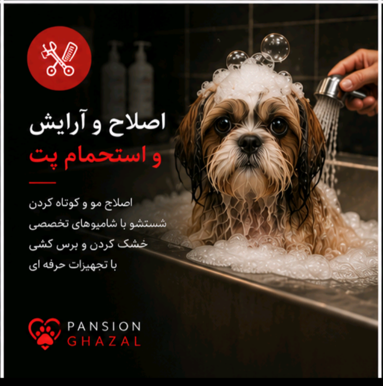 اصلاح و آرایش و استحمام پت