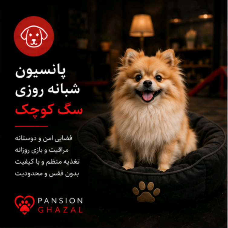 پانسیون سگ کوچک