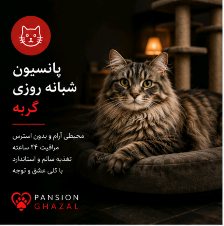 پانسیون شبانه روزی گربه